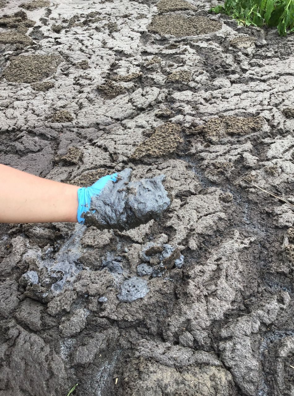Environmental organization worried about farm waste spill